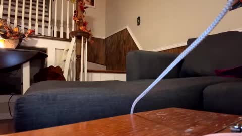 Snapshot of phatassblond chatting on September 2025 03:32:02 AM PhatAssBlond online show from September 2025 03:32:02 AM