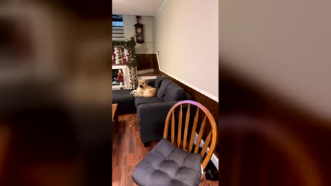 Snapshot of phatassblond chatting on December 2025 03:05:01 PM PhatAssBlond online show from December 2025 03:05:01 PM