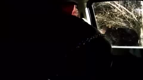 Snapshot of phillipdee chatting on February 2026 10:03:02 AM phillipdee online show from February 2026 10:03:02 AM