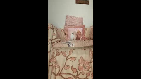 Snapshot of philos1979 chatting on January 2026 01:31:02 AM philos1979 online show from January 2026 01:31:02 AM