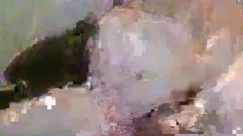 Pickup844 online show from January 2025 08:39:01 AM