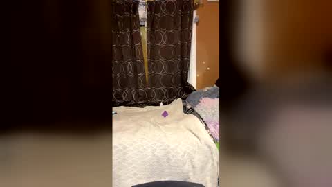 piecesxx online show from June 2026 05:42:01 AM