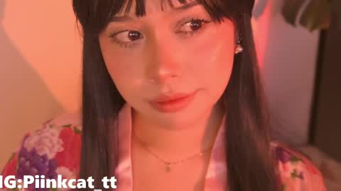 Snapshot of piinkcat chatting on April 2026 06:06:01 AM Emi online show from April 2026 06:06:01 AM