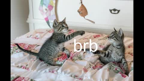 Snapshot of pink_girl0n chatting on October 2025 08:42:01 PM Kitty online show from October 2025 08:42:01 PM