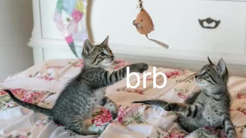 Snapshot of pink_girl0n chatting on November 2025 12:22:01 AM Kitty online show from November 2025 12:22:01 AM