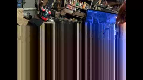 Snapshot of pipefitter485850 chatting on February 2026 07:23:01 AM FuckUpayMe online show from February 2026 07:23:01 AM