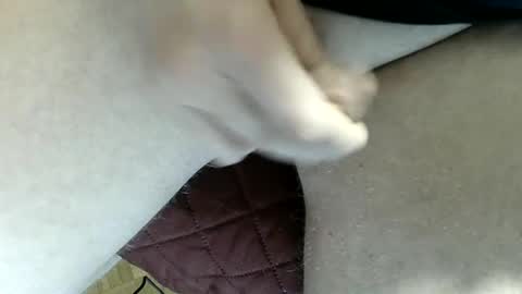 pippo online show from February 2025 11:40:02 AM