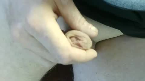 pippo online show from September 2025 04:39:02 PM