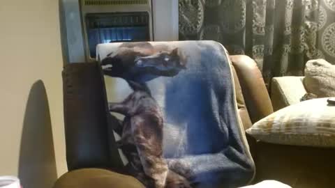 Snapshot of pirate334 chatting on January 2026 04:38:02 AM pirate334 online show from January 2026 04:38:02 AM