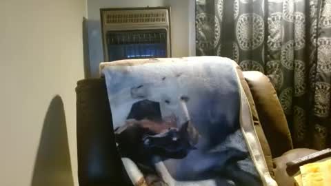 pirate334 online show from March 2026 03:55:02 AM