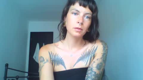 pixiecatfairy online show from September 2025 09:44:02 AM