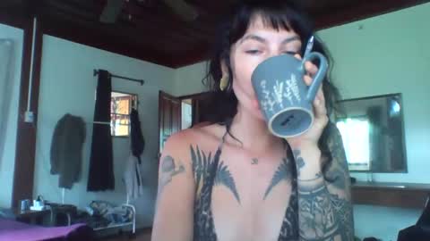 pixiecatfairy online show from November 2025 02:21:01 AM