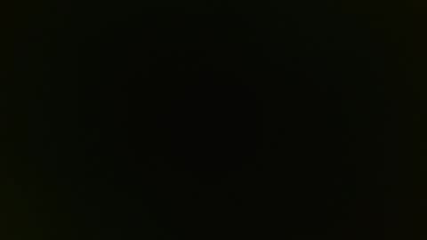 playboytit online show from January 2025 12:53:02 PM