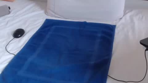 Steve online show from December 2024 11:29:01 AM