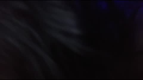 playwithstrayy online show from December 2025 09:29:02 AM