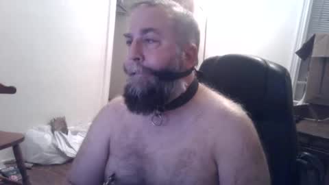 pleasurepuppt online show from December 2024 01:52:02 AM