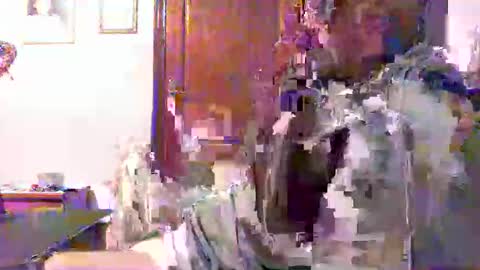 plu07f3520 online show from April 2026 12:43:02 AM