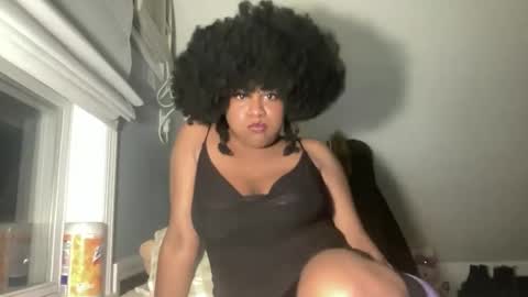 stariette online show from April 2026 01:58:02 AM