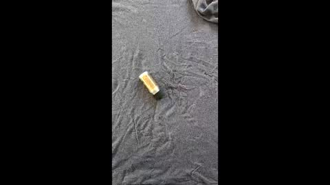 Snapshot of pocoloco0001 chatting on April 2026 05:58:02 AM pocoloco0001 online show from April 2026 05:58:02 AM