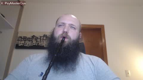 Bear online show from April 2026 04:41:01 AM