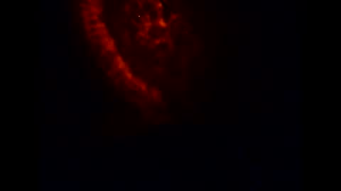 pollachico online show from November 2025 08:14:01 AM