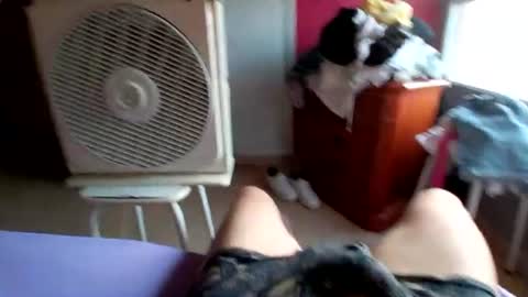pollonyhuevosgordos online show from July 2026 05:14:01 AM