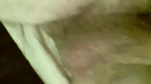 OD online show from November 2025 07:48:02 PM