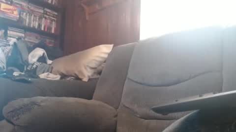 porkingit400 online show from February 2025 05:14:01 PM