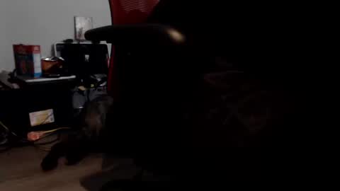 Snapshot of porkypork chatting on September 2025 05:45:01 PM porkdaddy online show from September 2025 05:45:01 PM