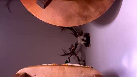 Snapshot of pornstriker chatting on October 2025 04:24:02 AM PornStriker online show from October 2025 04:24:02 AM