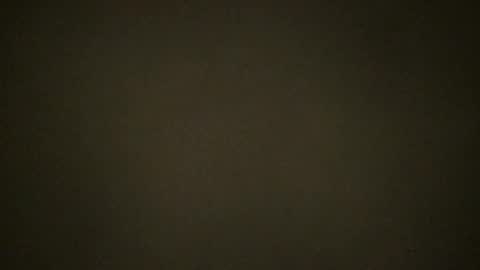 potholes15 online show from December 2025 12:40:02 AM