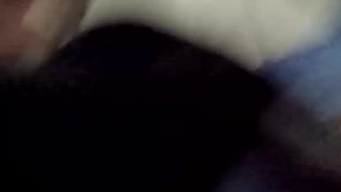 PipeLayerPlayer007 online show from April 2026 04:34:01 AM