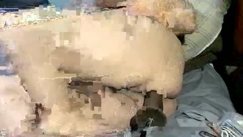 Snapshot of poundittt chatting on September 2025 07:11:02 AM dikud0wn online show from September 2025 07:11:02 AM