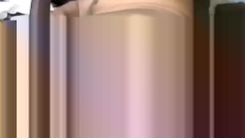 Snapshot of poundittt chatting on October 2025 10:47:01 PM dikud0wn online show from October 2025 10:47:01 PM