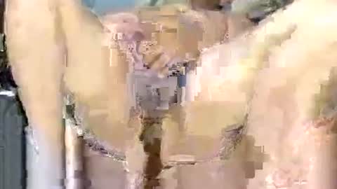 Snapshot of poundittt chatting on November 2025 04:20:02 PM dikud0wn online show from November 2025 04:20:02 PM