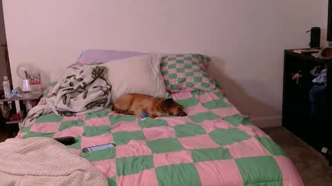 Snapshot of pppawg chatting on October 2025 06:03:01 AM PAWG Pale Princess online show from October 2025 06:03:01 AM