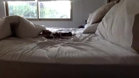 Snapshot of ppsmall_17 chatting on March 2026 11:10:01 AM ppsmall_17 online show from March 2026 11:10:01 AM