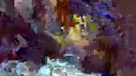 precious_nesh online show from May 2026 11:07:02 AM