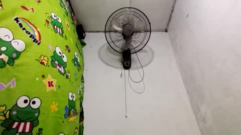 Dinah online show from December 2024 09:06:01 PM