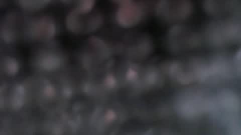 WELCOME IM SINGLE PREGNANT REALLY HARD TO BE A SINGLE WITH TWIN SO PLS STOP BEING RUDELIARWASTING TIME. BE CONSIDERATE. TNX online show from September 2025 02:29:02 PM