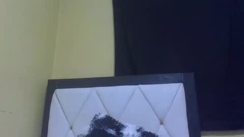 lynn online show from February 2026 07:14:02 PM