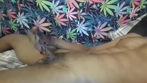 Libra Lamont online show from October 2025 08:23:01 AM