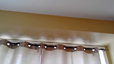 Snapshot of pretty_littletoy chatting on March 2026 02:02:02 PM pretty_littletoy online show from March 2026 02:02:02 PM