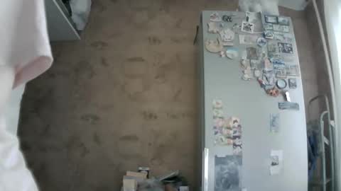Bella online show from May 2026 05:26:01 AM