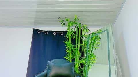 Snapshot of prettybunnies08 chatting on November 2025 09:06:02 PM Enzo Denis online show from November 2025 09:06:02 PM