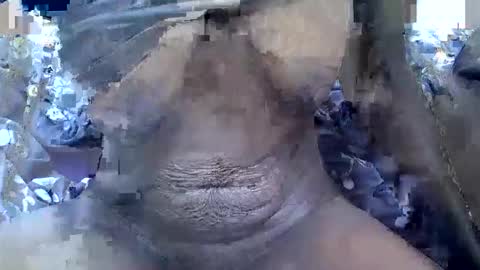 Snapshot of prettyelsie chatting on November 2025 08:31:01 AM Prettiesexxy online show from November 2025 08:31:01 AM