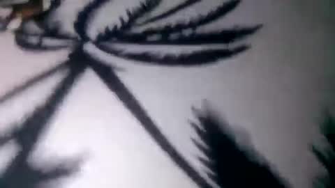 prettyrose01 online show from July 2026 11:00:01 PM