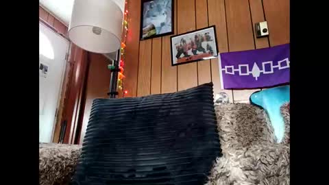 Snapshot of prettysolid7 chatting on January 2026 06:46:02 PM prettysolid7 online show from January 2026 06:46:02 PM