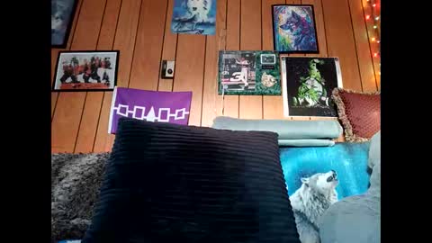 Snapshot of prettysolid7 chatting on February 2026 12:58:02 PM prettysolid7 online show from February 2026 12:58:02 PM