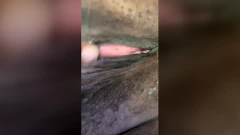 princessxxx91 online show from June 2026 12:32:01 PM